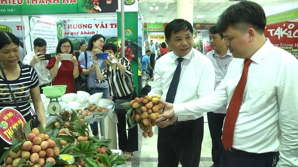 Vải Thanh Hà - Thương hiệu vàng thúc đẩy phát triển du lịch sinh thái địa phương