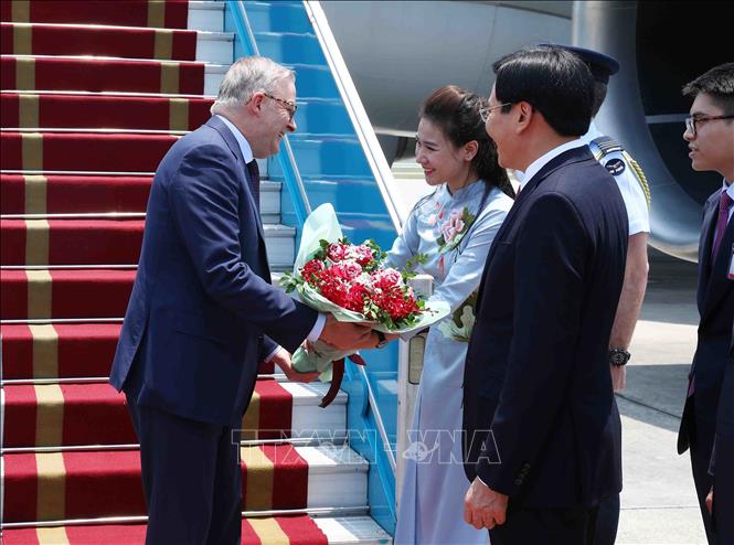 Thủ tướng Australia Anthony Albanese đến Hà Nội, bắt đầu thăm chính thức Việt Nam