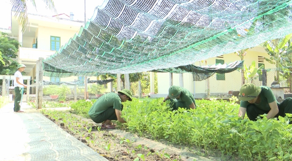 Sáng tạo tăng gia sản xuất để chủ động nguồn thực phẩm tại chỗ
