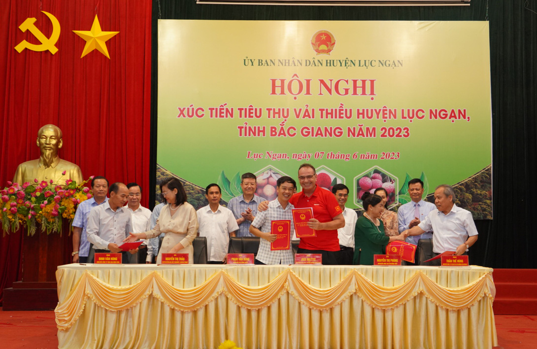 Hệ thống phân phối của Central Retail tiêu thụ vải thiều chính vụ của tỉnh Bắc Giang