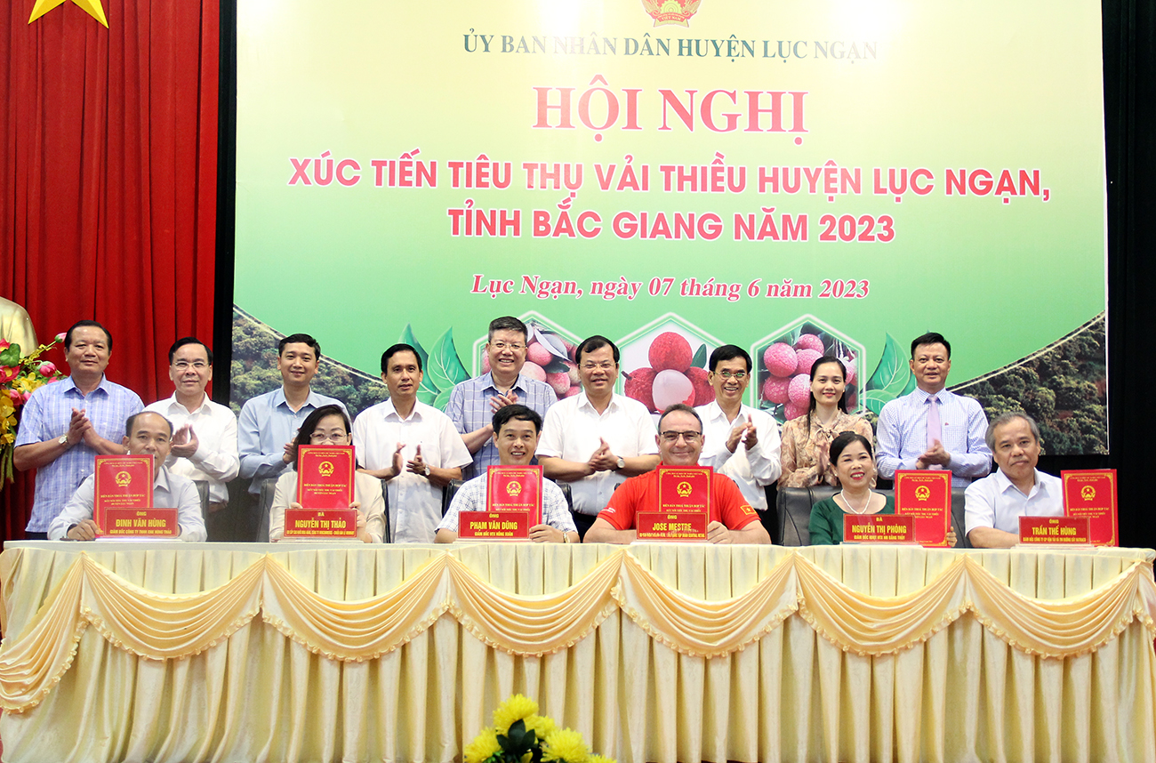 Bắc Giang xúc tiến tiêu thụ vải thiều Lục Ngạn năm 2023