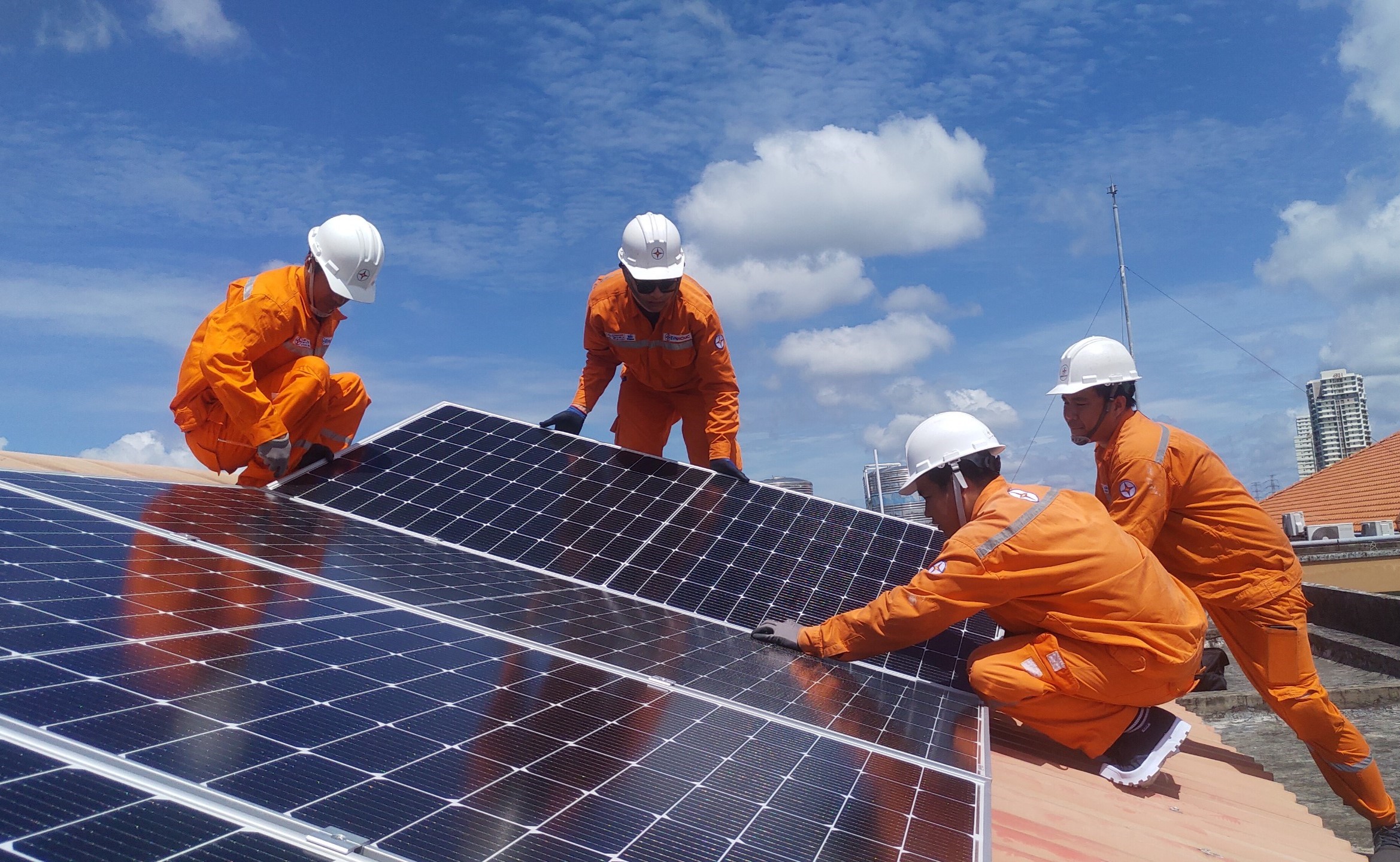 Tổng Công ty Điện lực TP Hồ Chí Minh Nhiều hoạt động thiết thực vì môi trường