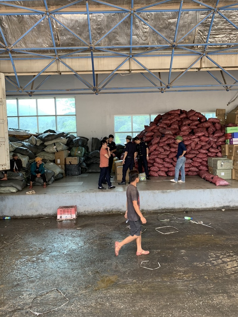 Kiến nghị không tạm dừng hàng hóa quá cảnh nếu không có căn cứ rõ ràng