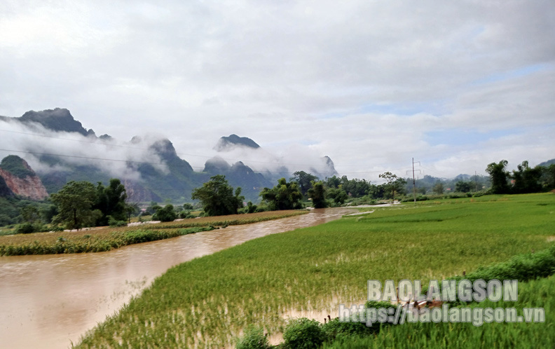 Mưa lớn kèm dông lốc gây thiệt hại tại Lạng Sơn, Bắc Giang