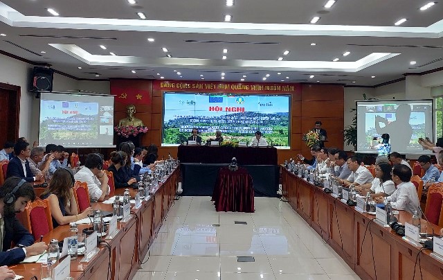 Ngành hàng cà phê đảm bảo tuân thủ Quy định Chống phá rừng châu Âu