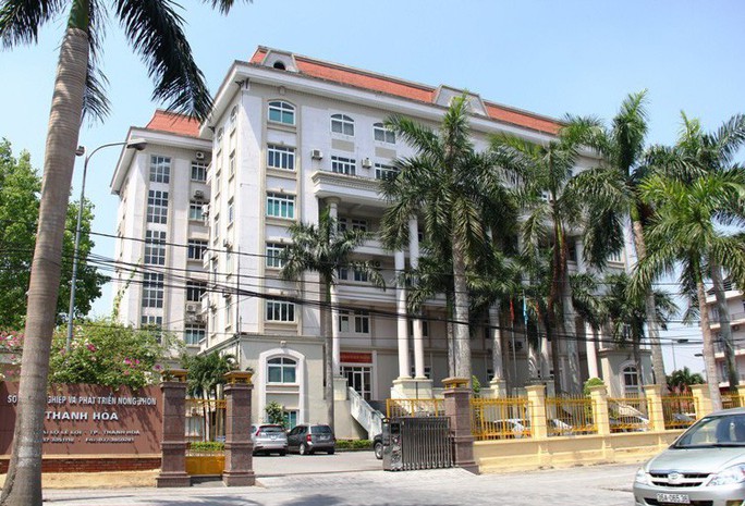 Thanh Hóa xác minh thông tin rừng thông bị đốn hạ