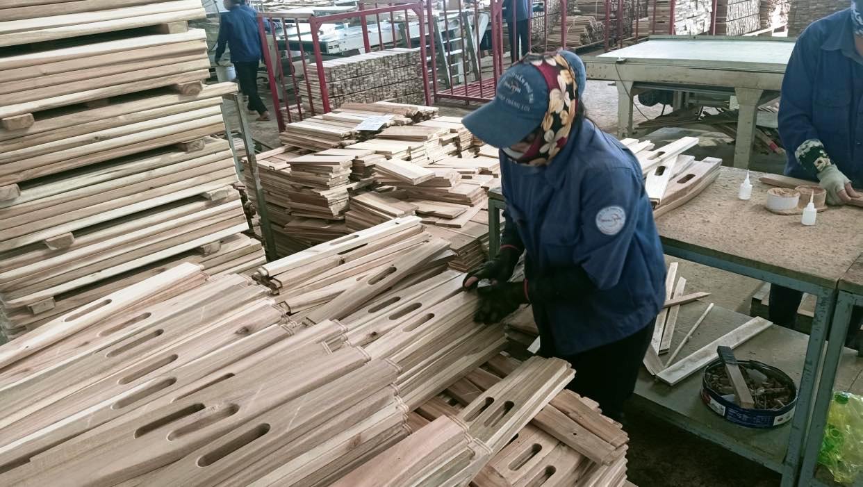 Ngành Lâm nghiệp Phấn đấu hoàn thành các chỉ tiêu năm 2023
