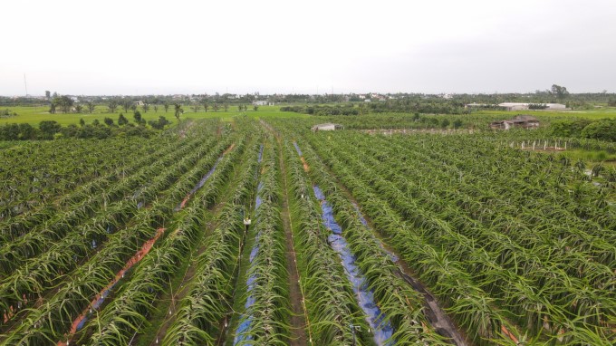 Hải Phòng phát triển kinh tế nông nghiệp nông thôn bền vững