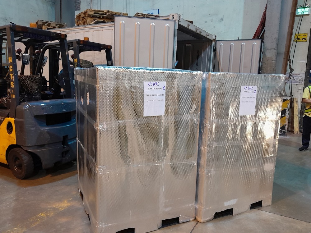 Quả vải Việt Nam tiếp cận 7 thị trường quốc tế qua đường hàng không
