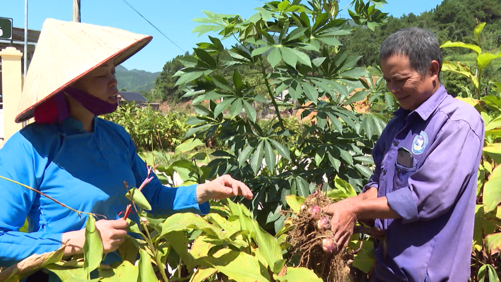 Nữ Bí thư Chi bộ Đảng thế hệ 9X người dân tộc Sán Chỉ luôn năng động, gần dân, sát dân