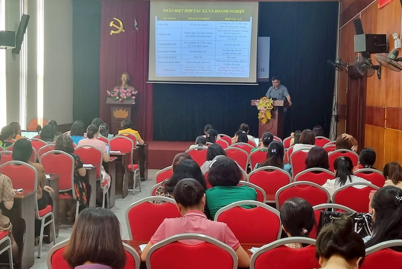 Phát huy vai trò của Hội phụ nữ các cấp trong xây dựng nông thôn mới, đô thị văn minh