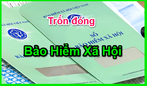 Trốn đóng bảo hiểm cho người lao động có thể bị phạt đến 3 tỷ đồng