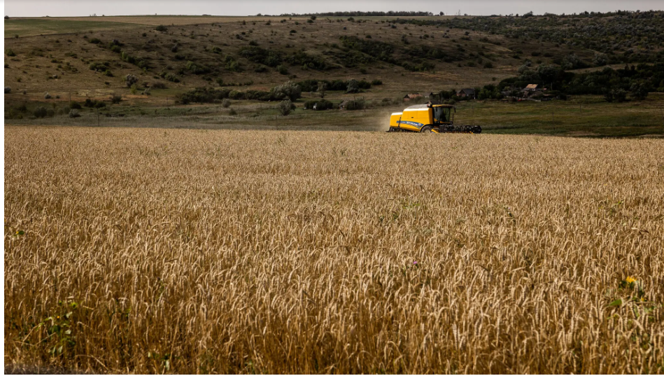 Sáng kiến Ngũ cốc Biển Đen trước triển vọng mờ nhạt