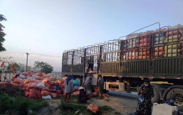 Ngành hàng lúa gạo Giải pháp nào để biến cơ hội thành hiện thực