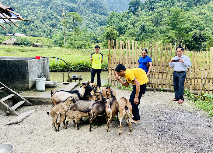Chàng trai khuyết tật vươn lên thoát nghèo trên vùng đất khó