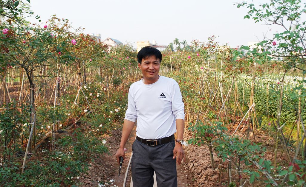 Thu nhập nửa tỷ đồng mỗi năm từ nghề trồng hoa