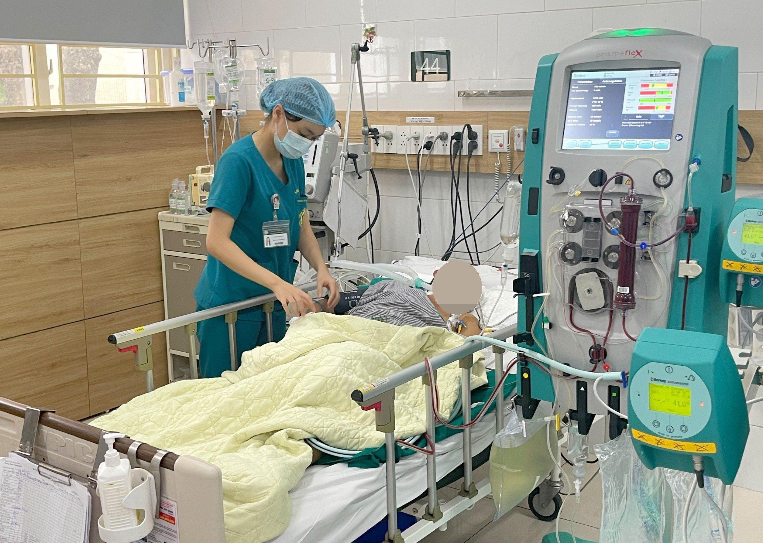 Ngộ độc nấm rừng, 3 người trong một gia đình tử vong