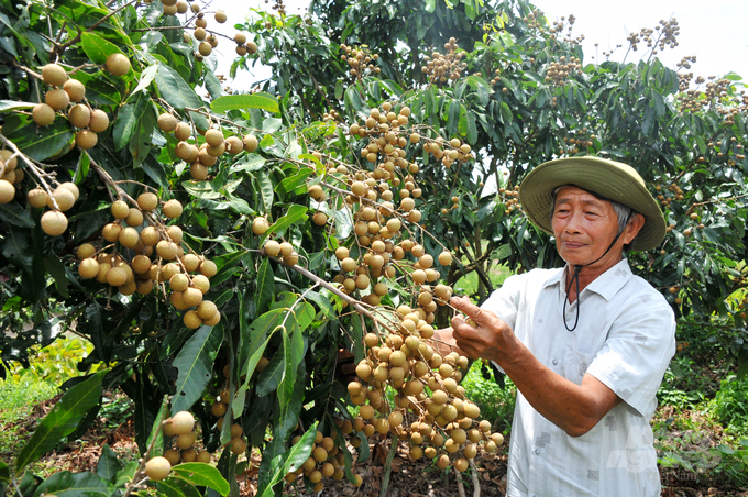 Cần Thơ Phát huy vai trò của các hợp tác xã nông nghiệp kiểu mới
