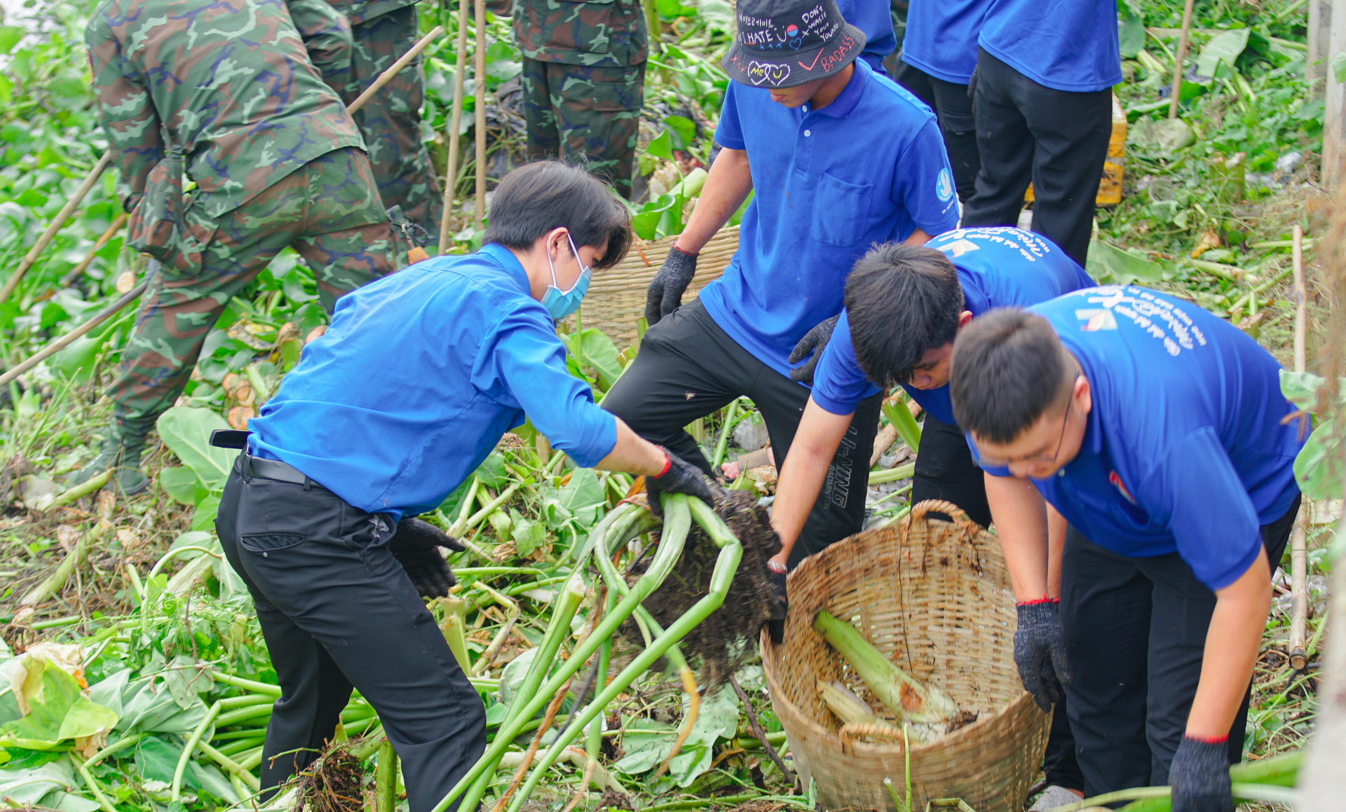 3 000 đoàn viên thanh niên tham gia chương trình Ngày Chủ nhật Xanh