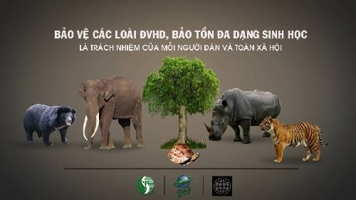 Tăng cường tuyên truyền thực hiện quản lý động vật, thực vật hoang dã, nguy cấp, quý hiếm