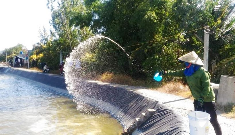 Hà Tĩnh triển khai gói tín dụng 15 000 tỷ cho lĩnh vực lâm - thủy sản