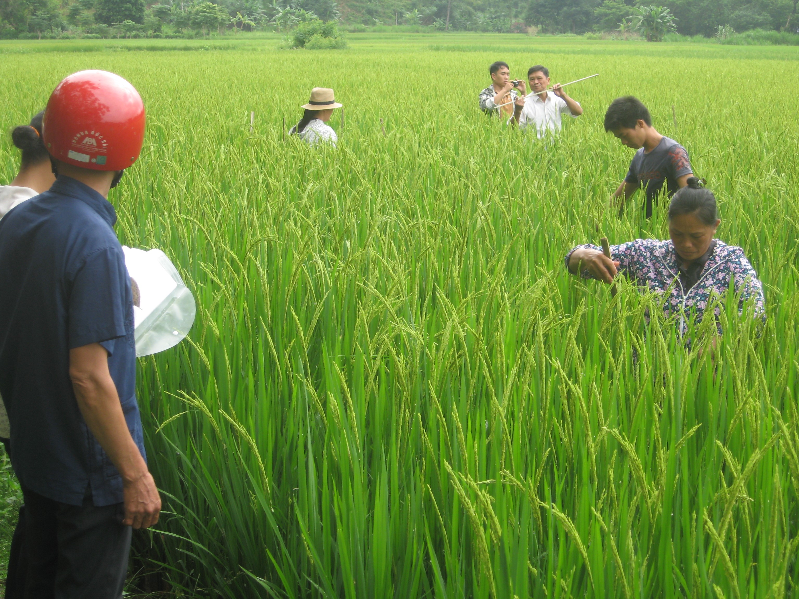 Dạy nghề cho lao động nông thôn góp phần xóa đói giảm nghèo hiệu quả