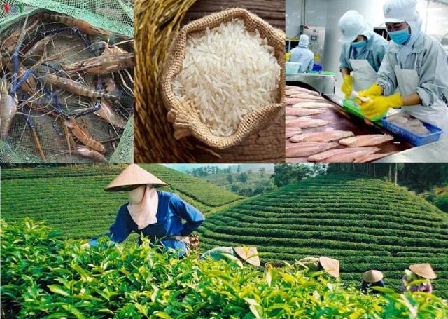 Nhiều tín hiệu gia tăng ở một số ngành, lĩnh vực kinh tế trong 7 tháng qua