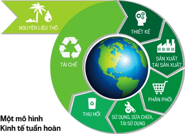Tăng cường năng lực, thúc đẩy sự phát triển kinh tế tuần hoàn