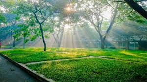 Tại sao lại có bốn mùa trong năm