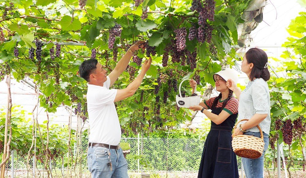 Thái Nguyên Đa dạng sản phẩm nông nghiệp gắn với du lịch cộng đồng