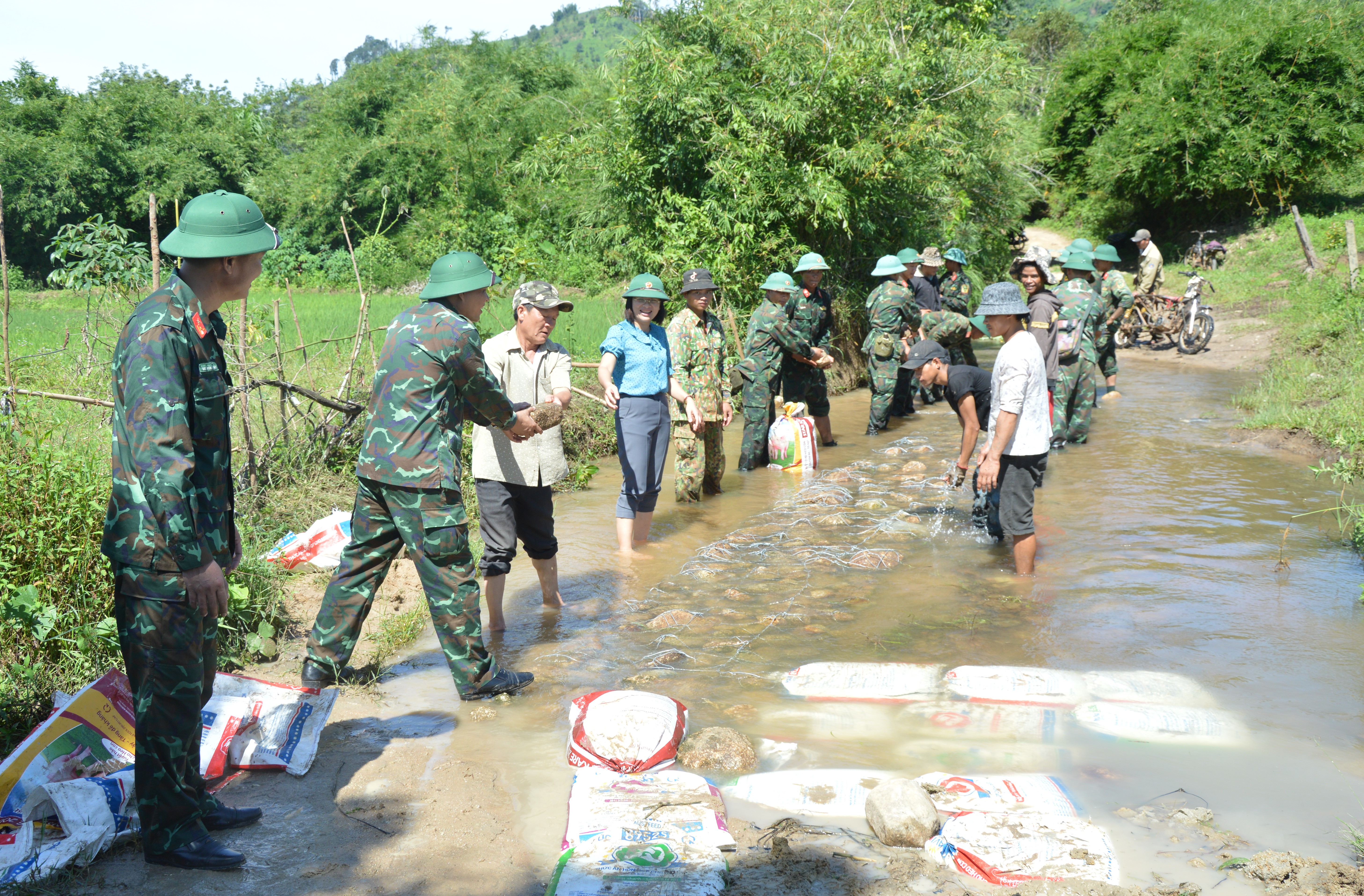Sư đoàn Bộ binh 10 với phong trào Quân đội chung sức xây dựng nông thôn mới