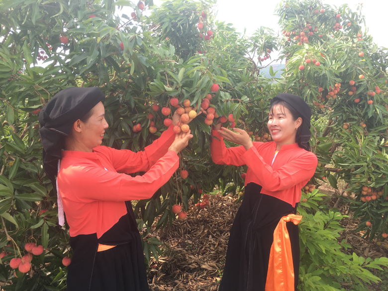 Nhu cầu về khoa học công nghệ với phụ nữ làm chủ doanh nghiệp