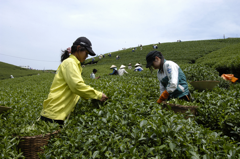 Thúc đẩy phát triển doanh nghiệp do phụ nữ làm chủ ở vùng dân tộc thiểu số