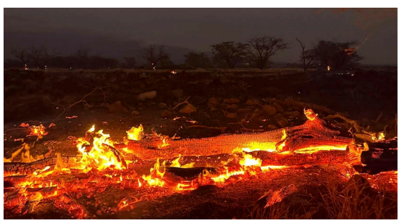 Lời thức tỉnh muộn màng