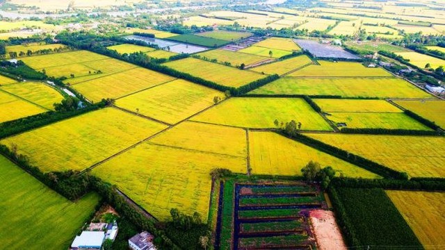 Nâng cao hiệu quả hoạt động của các Hội đồng điều phối vùng