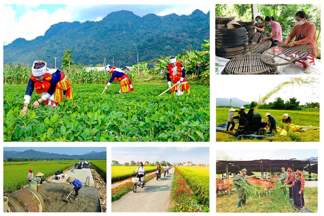 Quyết tâm giải ngân 100 vốn thực hiện các Chương trình mục tiêu quốc gia