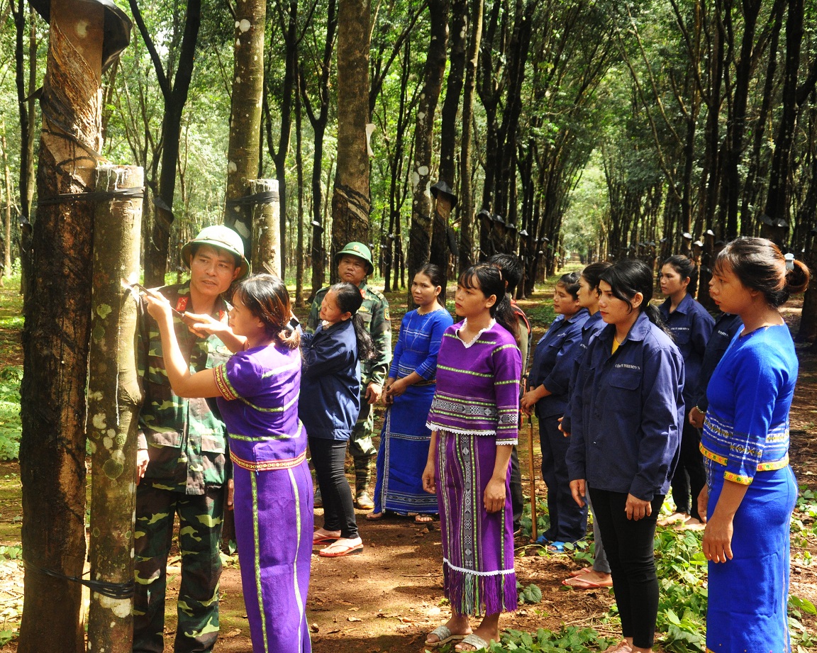 Tỏa sáng hình ảnh “Bộ đội Cụ Hồ” trong lòng người dân Tây Nguyên