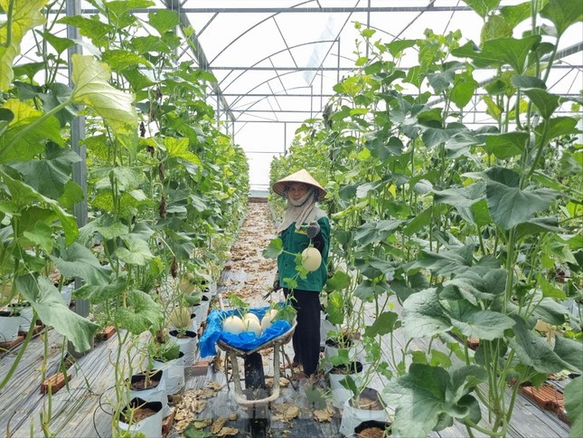 Tỉnh đoàn Bắc Ninh đồng hành cùng thanh niên trong khởi nghiệp, lập nghiệp