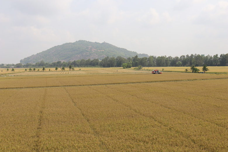 Các tỉnh phía Nam Tỷ lệ giải ngân vốn Chương trình MTQG cao so với bình quân của cả nước