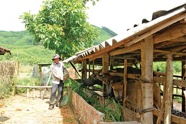 Minh Long Mở hướng phát triển vùng dân tộc thiểu số và miền núi
