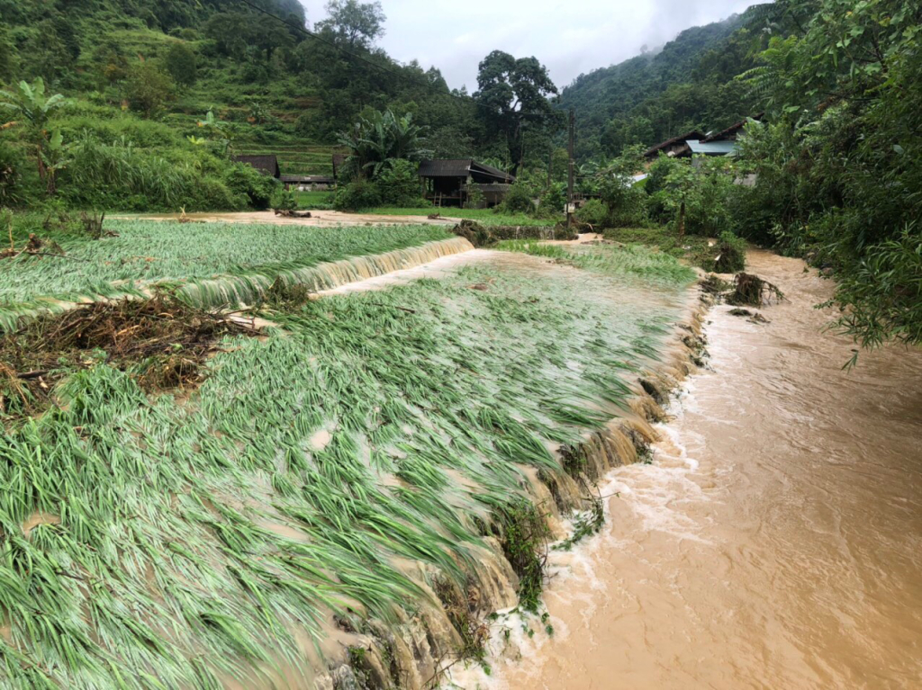 Mưa lớn, sạt lở đất gây nhiều thiệt hại về người và tài sản