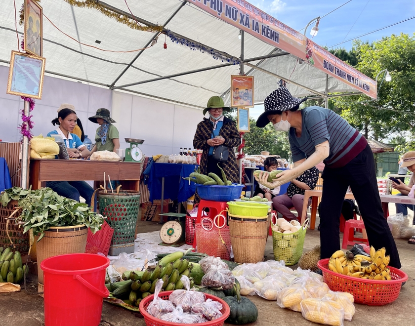 Khai mạc Phiên chợ giới thiệu sản phẩm vùng đồng bào dân tộc thiểu số và miền núi Gia Lai