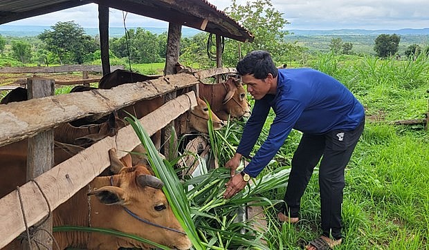 Tạo đòn bẩy phát triển kinh tế - xã hội vùng đồng bào DTTS MN