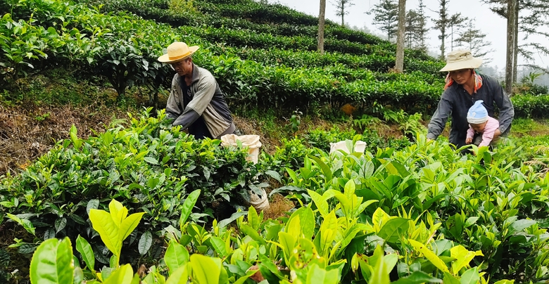 Lào Cai Đẩy nhanh giải ngân vốn các chương trình mục tiêu quốc gia giai đoạn 2021 - 2025