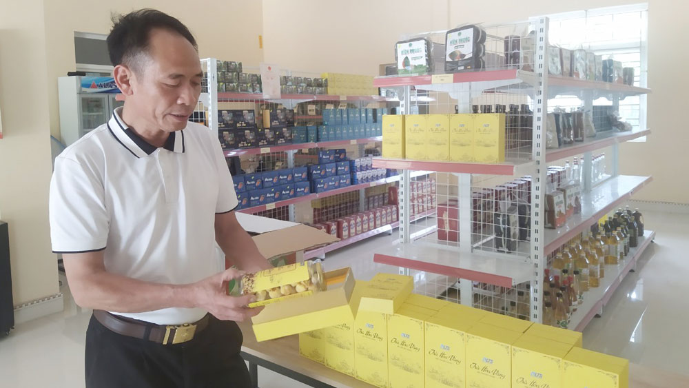 Bắc Giang Đẩy mạnh chuyển đổi số để phát triển hợp tác xã vùng DTTS