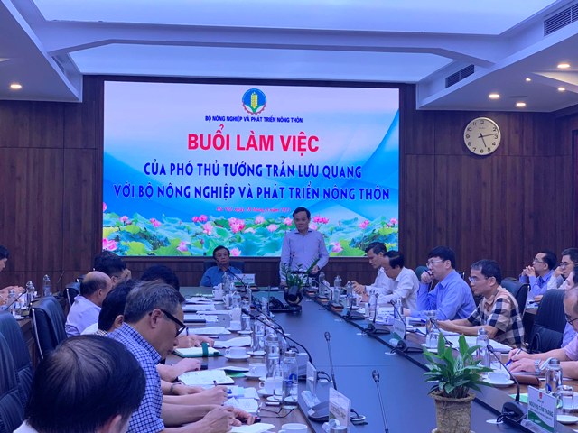 Phát triển bền vững 1 triệu ha lúa chất lượng cao gắn với tăng trưởng xanh