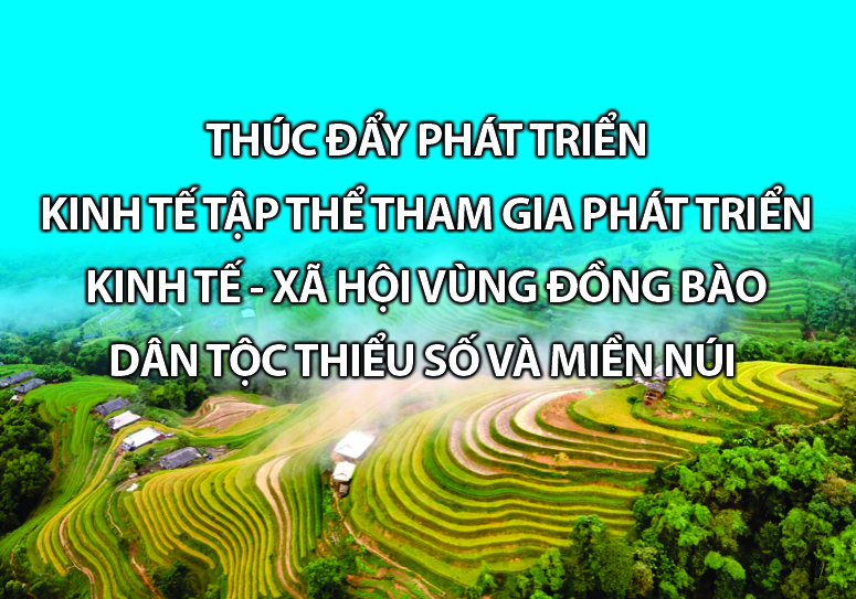 Thúc đẩy kinh tế tập thể tham gia phát triển KT-XH vùng dân tộc thiểu số và miền núi