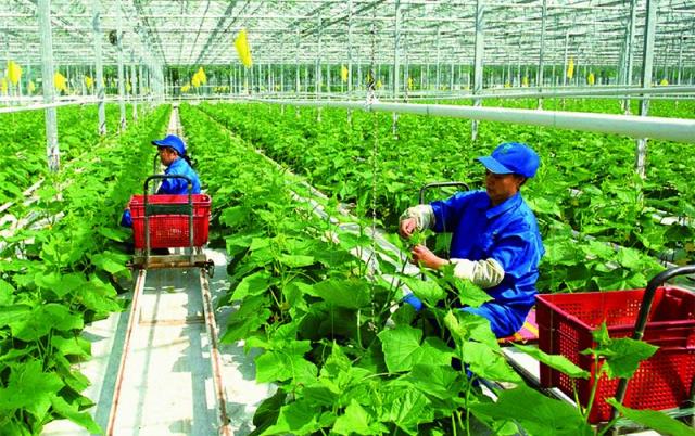 Xu hướng tích cực của một số lĩnh vực kinh tế trong 8 tháng