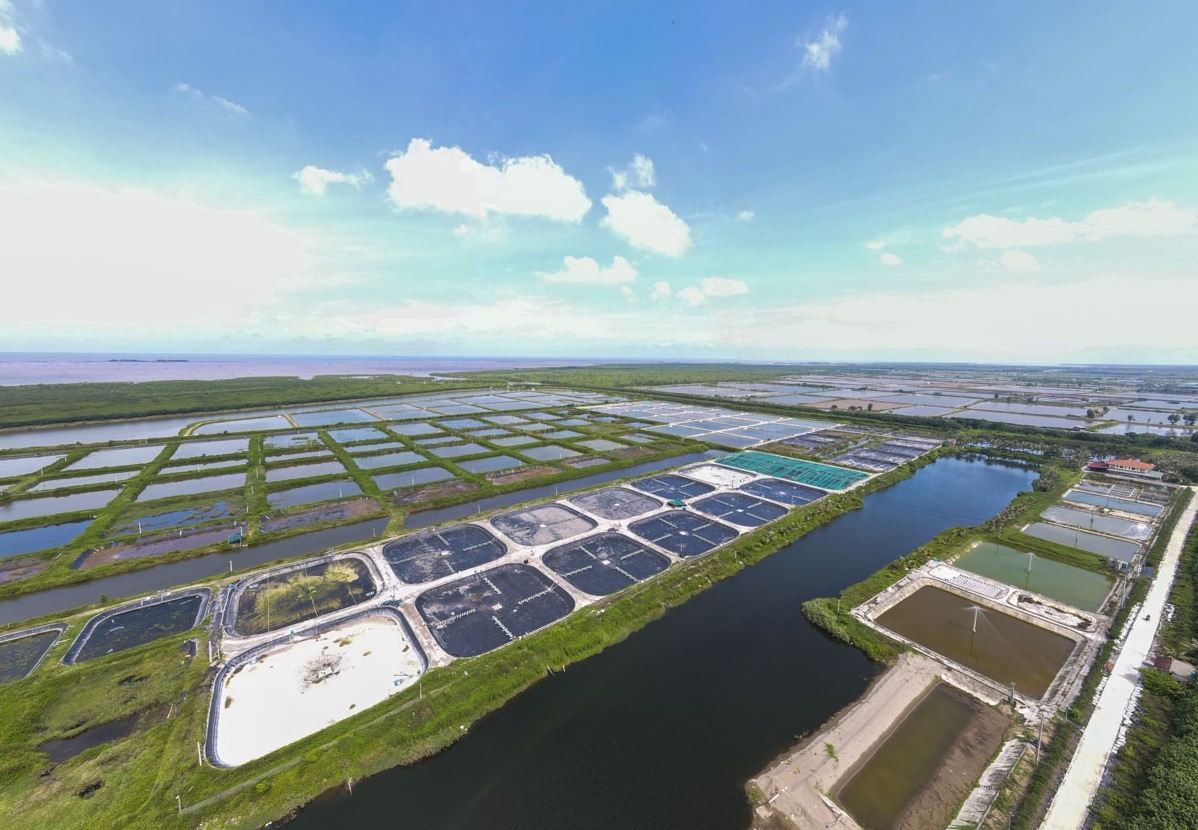 Thái Bình khai thác lợi thế tài nguyên biển, phát triển kinh tế hướng ra biển