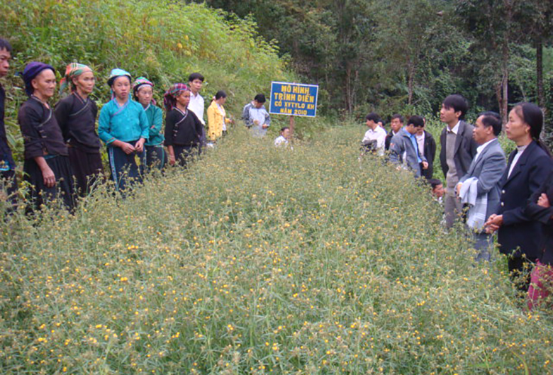 Đẩy mạnh đào tạo nghề cho người dân tộc thiểu số